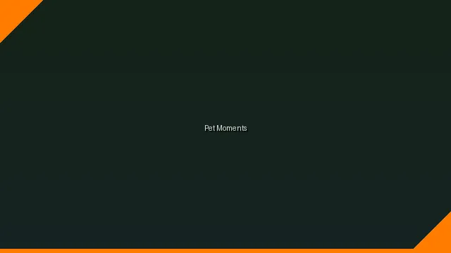 萌宠时刻主题赛 - 51黑料 UGC视频竞赛